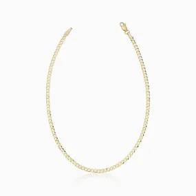 Carmine Curb Petite Anklet