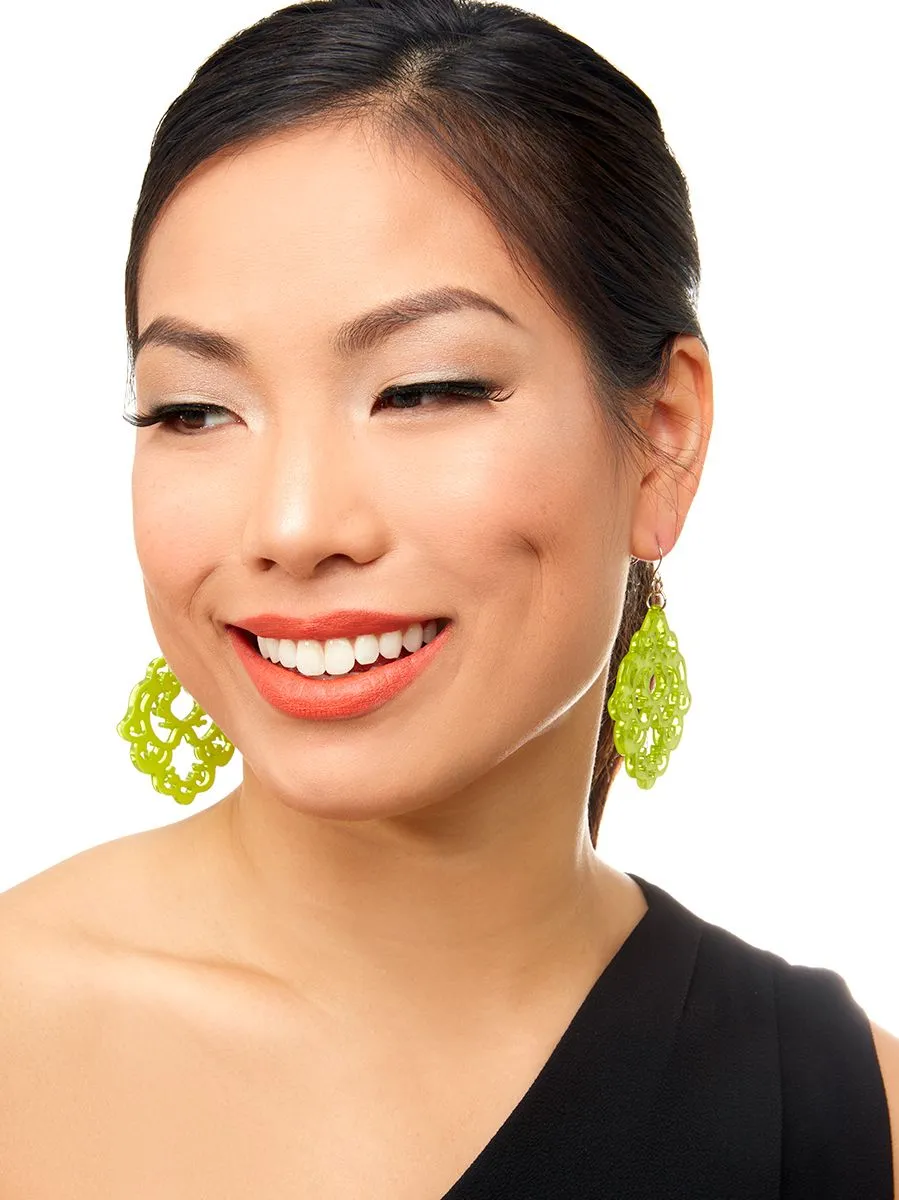 Pom Pom Scarf and Damask Earrings Gift Set