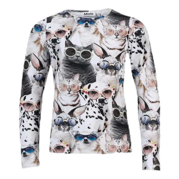 Rose Sunny Funny Grey